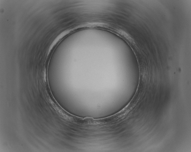 X0000068311420200605051519