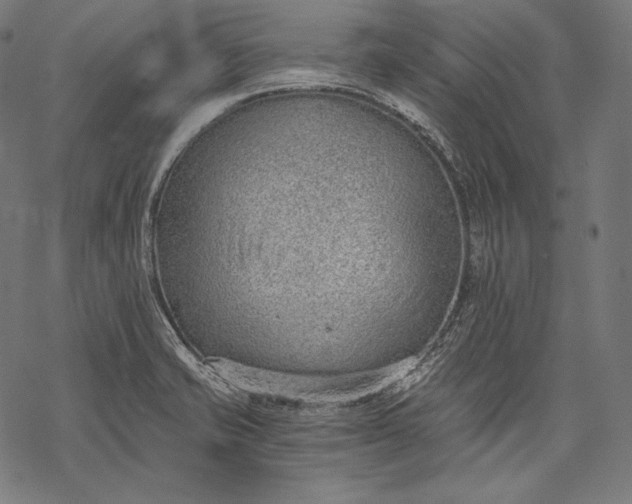 X0000068311421200605051519