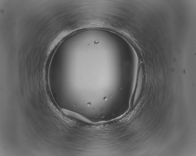 X0000068311422200605051519