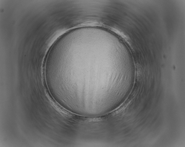 X0000068311423200605051519