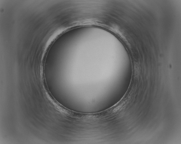 X0000068311424200605051519