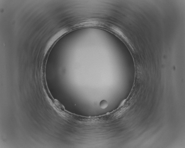 X0000068311426200605051519