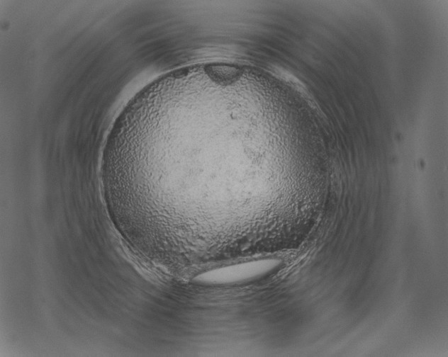 X0000068311427200605051519