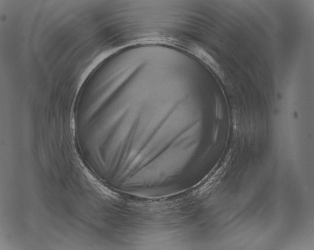 X0000068311428200605051519