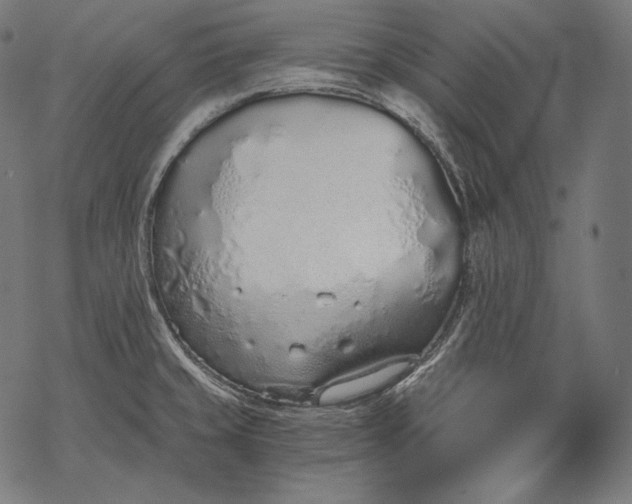 X0000068311429200605051519