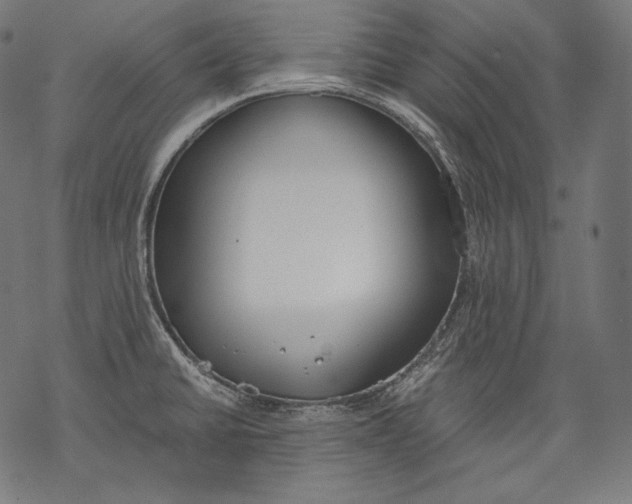 X0000068311430200605051519