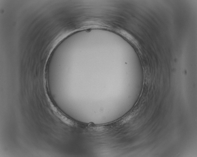 X0000068311431200605051519