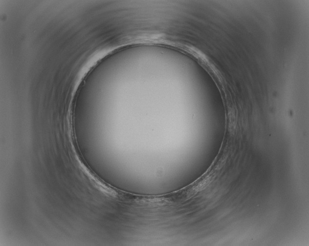 X0000068311432200605051519