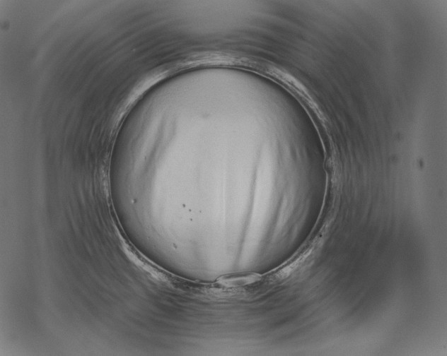 X0000068311433200605051519