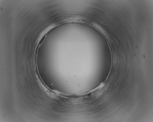 X0000068311434200605051519