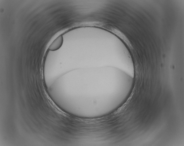 X0000068311436200605051519