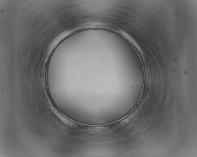 X0000068311437200605051519