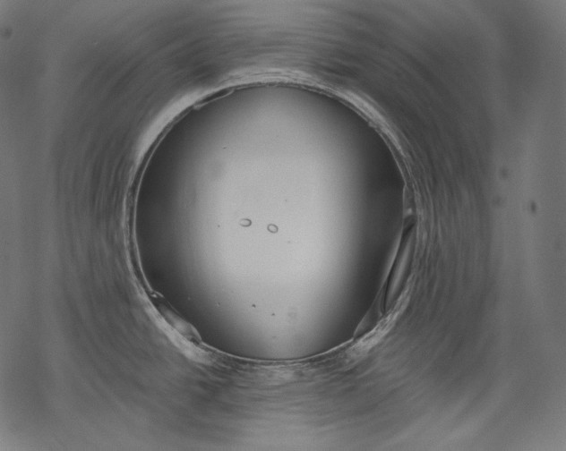 X0000068311438200605051519