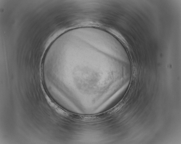 X0000068311439200605051519