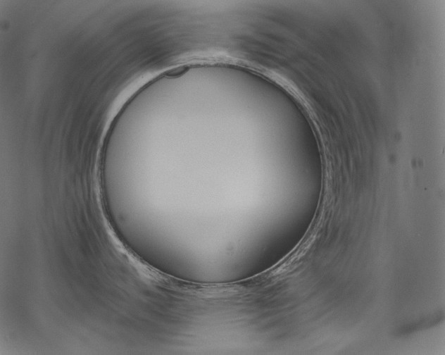 X0000068311440200605051519