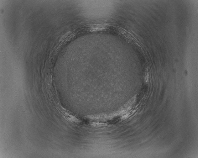 X0000068311441200605051519