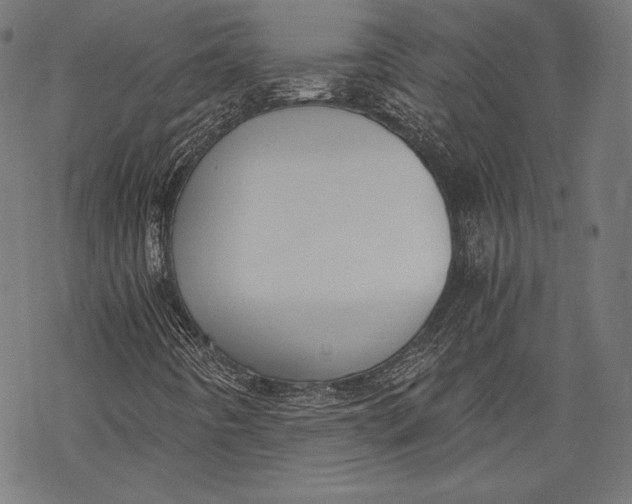 X0000068311442200605051519