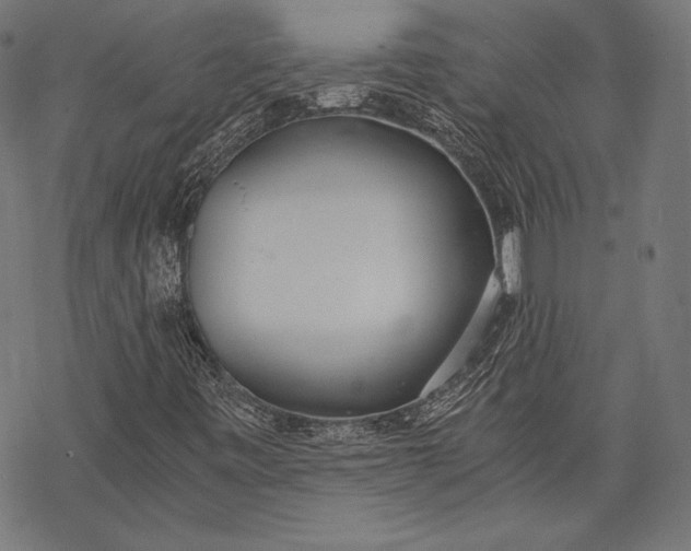 X0000068311443200605051519