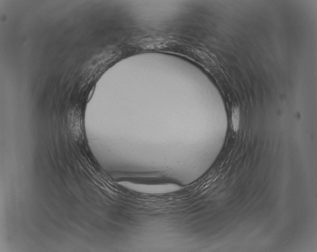 X0000068311444200605051519