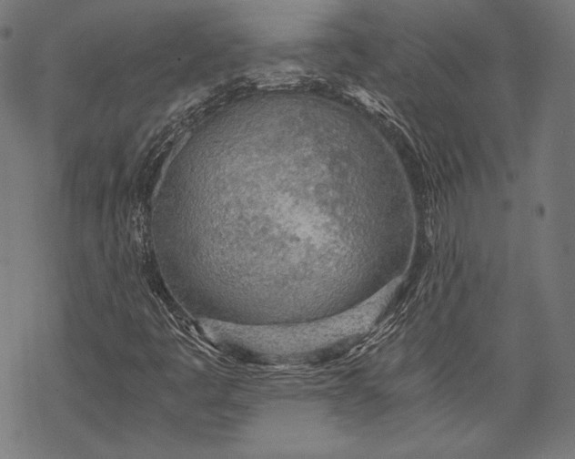 X0000068311445200605051519