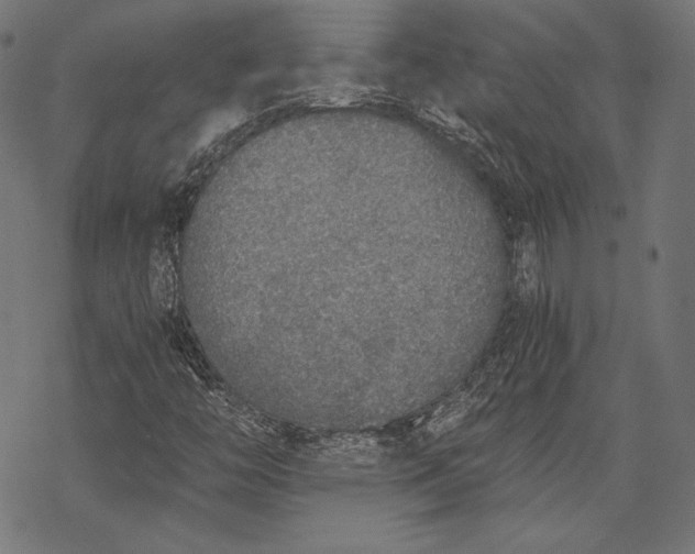 X0000068311446200605051519