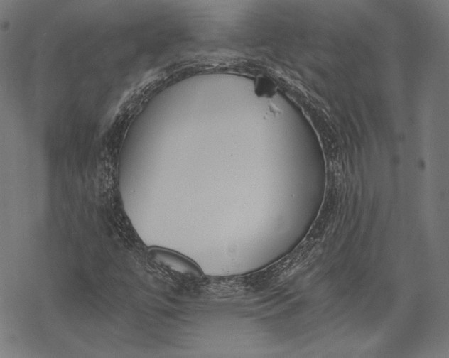 X0000068311447200605051519