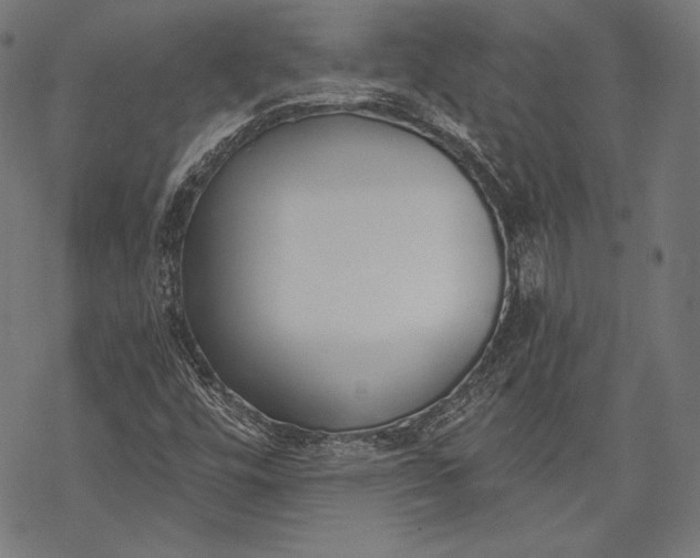 X0000068311448200605051519