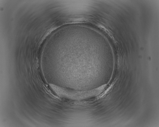 X0000068311449200605051519