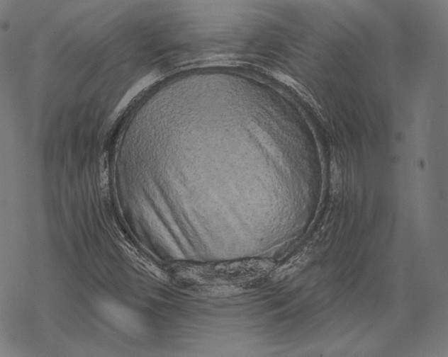 X0000068311450200605051518