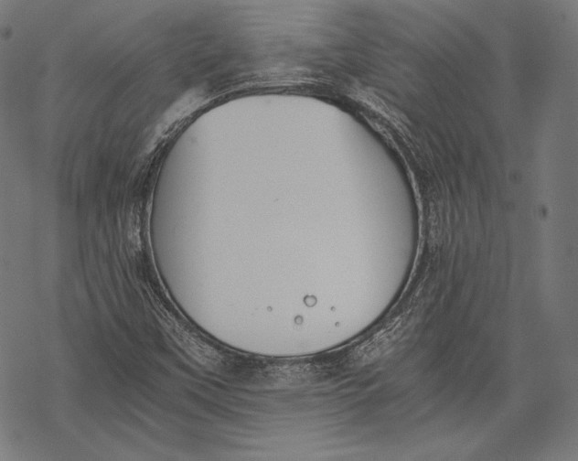 X0000068311451200605051518