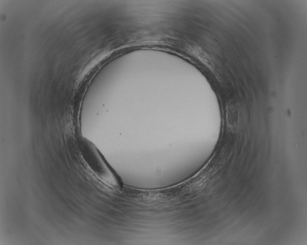 X0000068311452200605051518