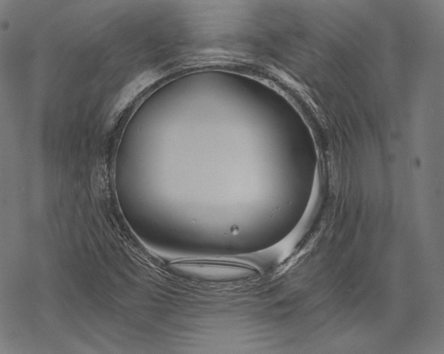 X0000068311453200605051518