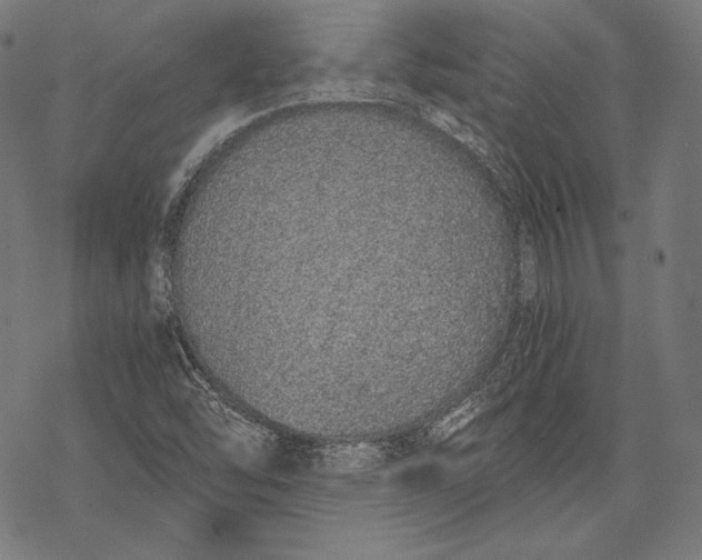 X0000068311454200605051518