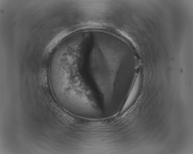 X0000068311455200605051518