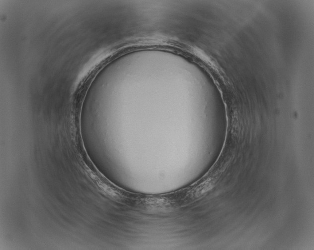 X0000068311456200605051518