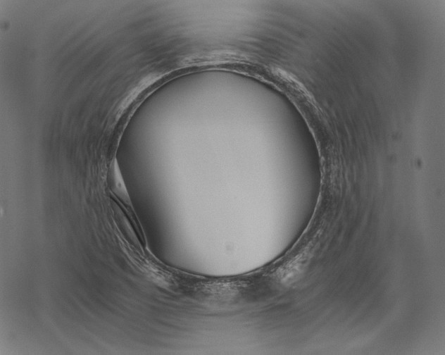 X0000068311457200605051518