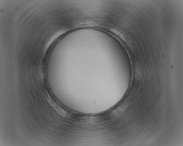 X0000068311458200605051518