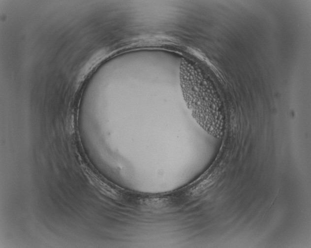 X0000068311459200605051518