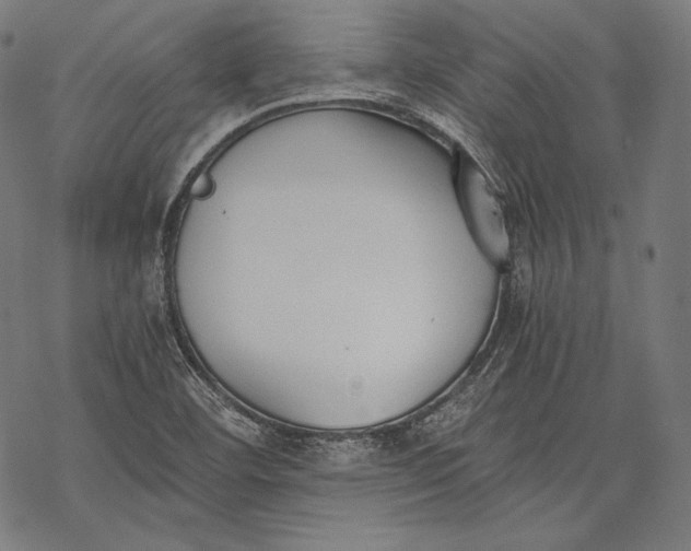 X0000068311460200605051518