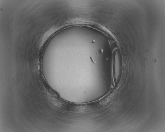 X0000068311461200605051518