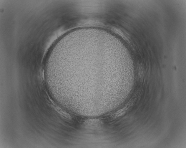 X0000068311462200605051518