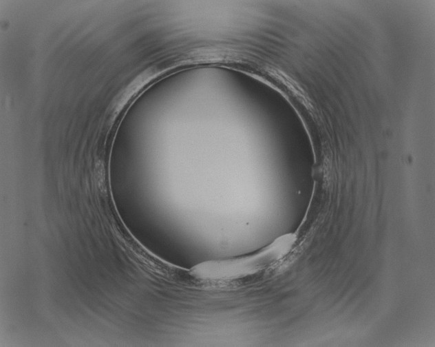 X0000068311465200605051518