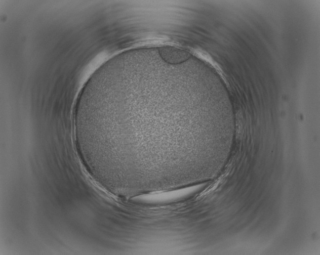 X0000068311467200605051518