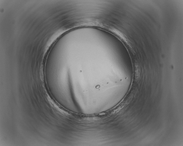 X0000068311468200605051518