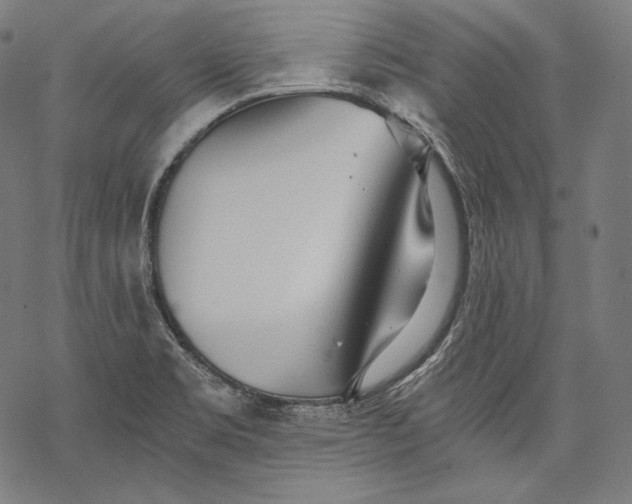 X0000068311469200605051518