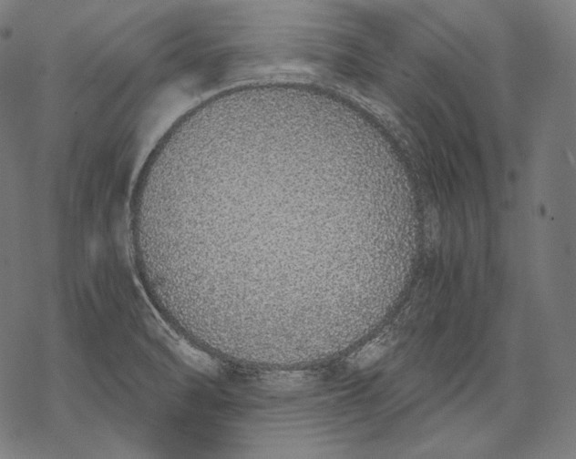 X0000068311470200605051518