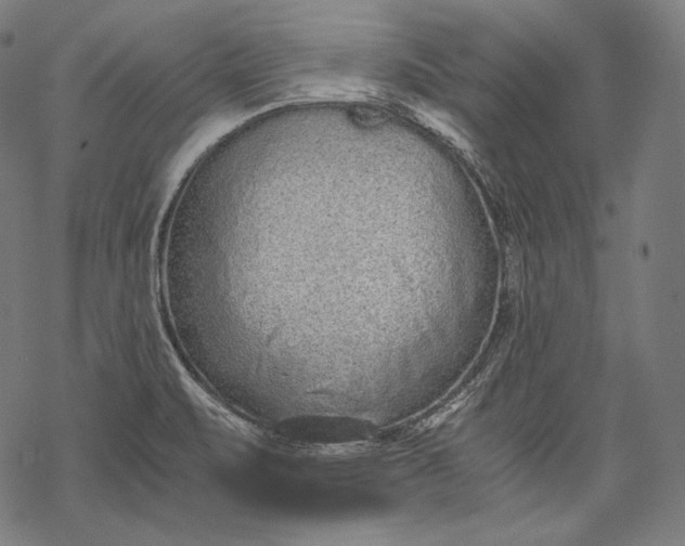 X0000068311471200605051518