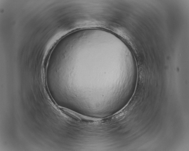 X0000068311472200605051518