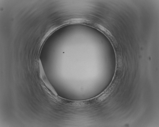 X0000068311473200605051518