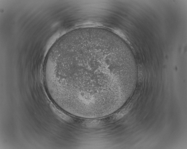 X0000068311474200605051518